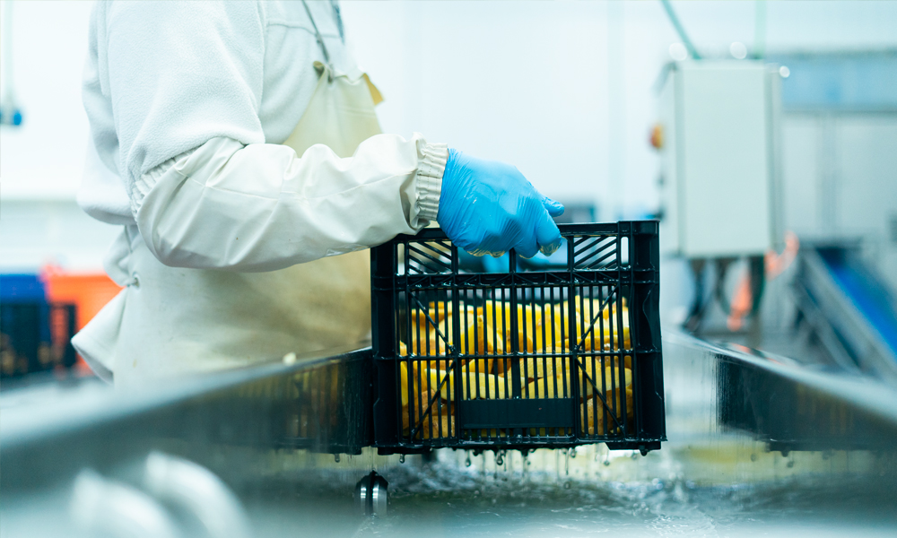 Nos apasiona la calidad y la variedad | Claramunt Food Service