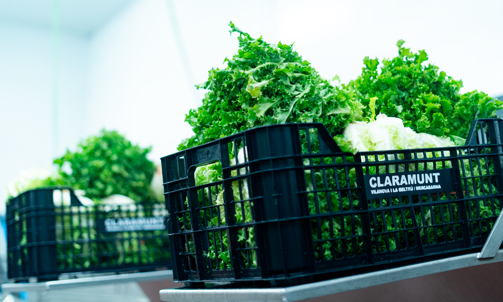 Productos km 0 | Claramunt Food Service desde 1967 cosechando para ti