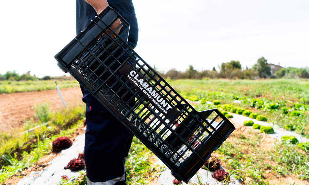 Productos km 0 | Claramunt Food Service desde 1967