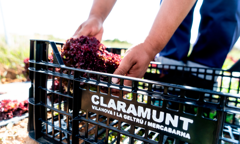Productos km 0 | Claramunt Food Service desde 1967
