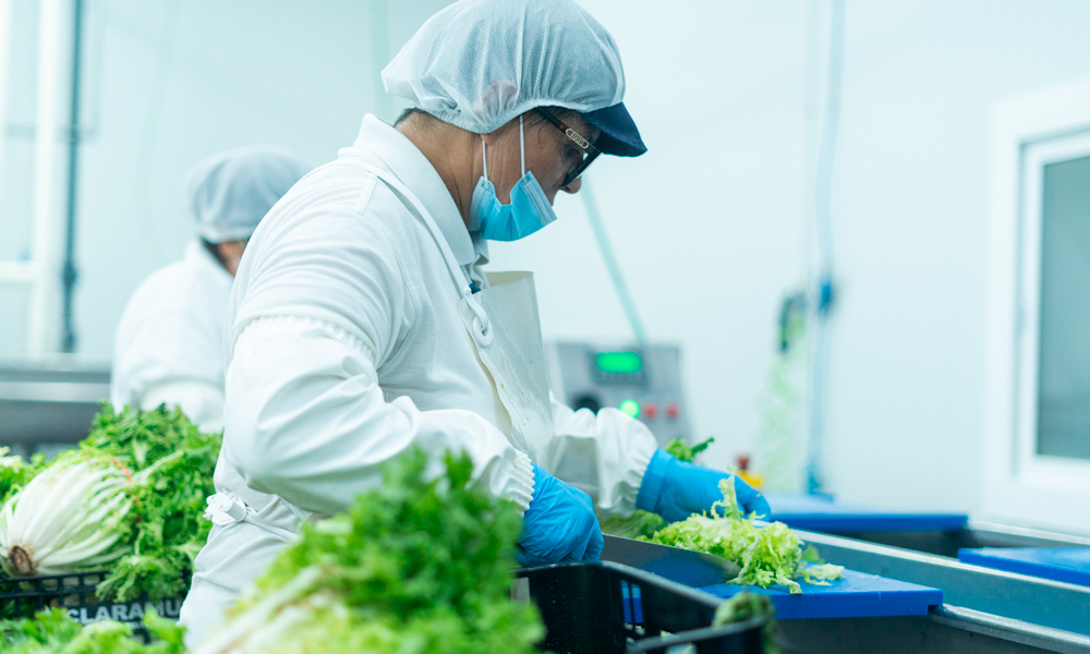 Nuestro obrador, productos de calidad y confianza | Claramunt Food Service